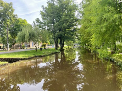 Image environnement