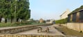 Miniature